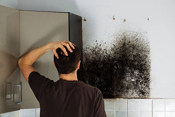 Mold Testing and Removal in Salem, OH